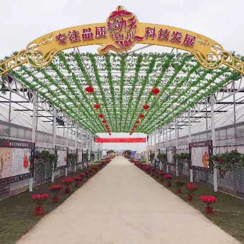 艷九天-參觀學習，鞏固草莓產(chǎn)業(yè)脫貧致富成效