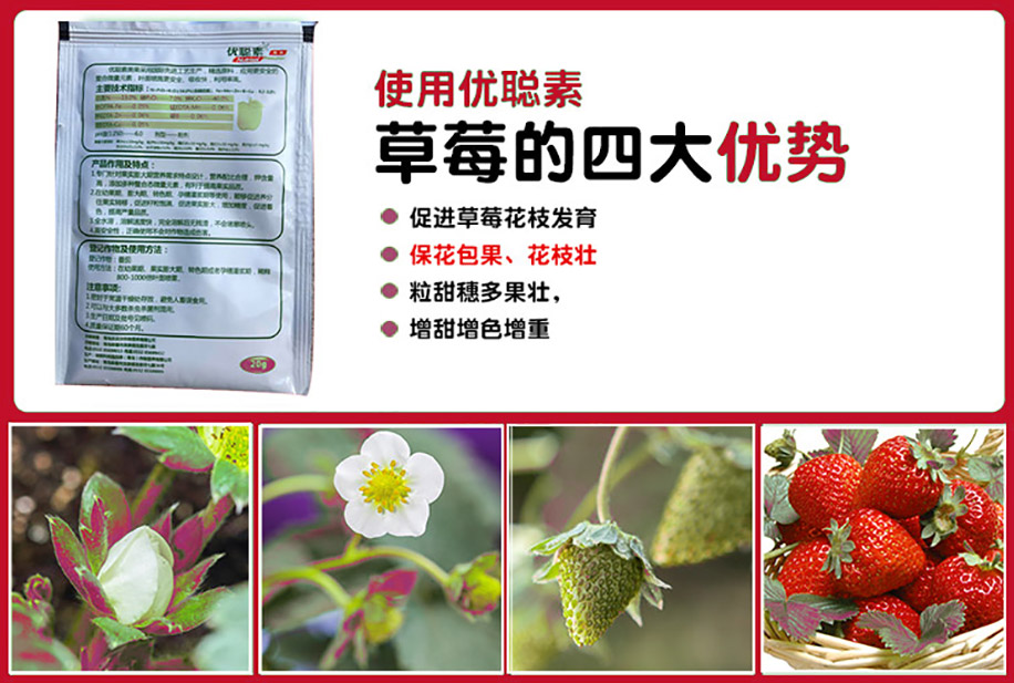 優(yōu)聰素營養(yǎng)液