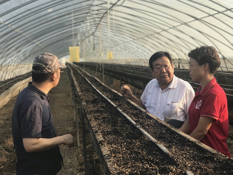 指導(dǎo)草莓種植